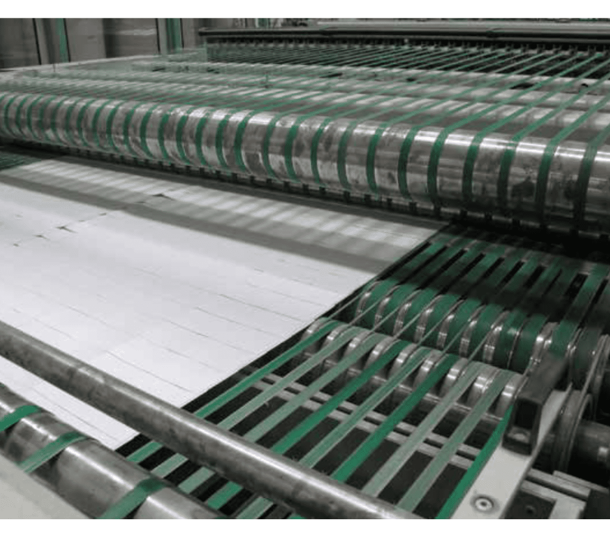 Printimis- ja paberitööstuse rihmad